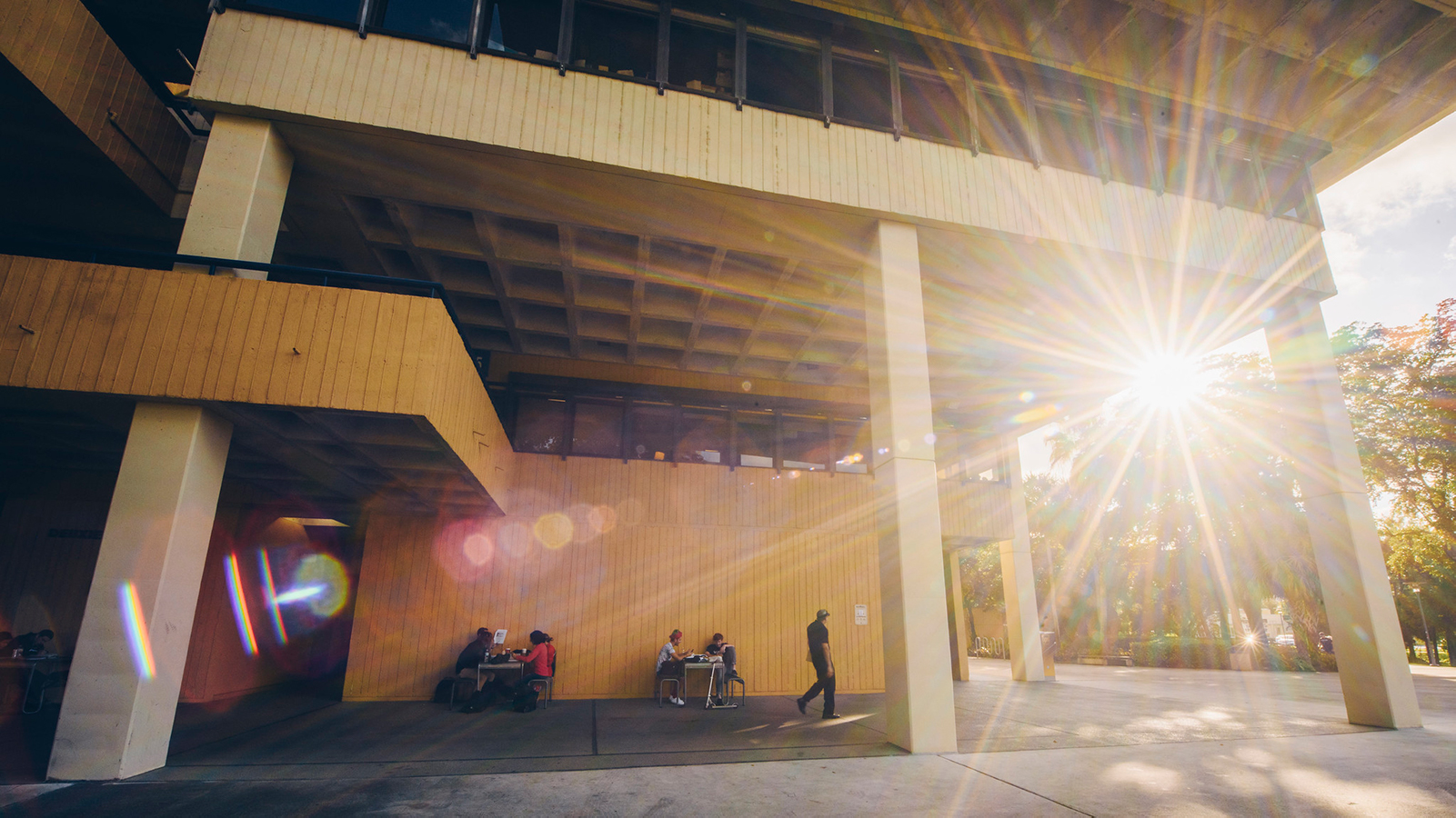 Contact Us Department of History Florida International University