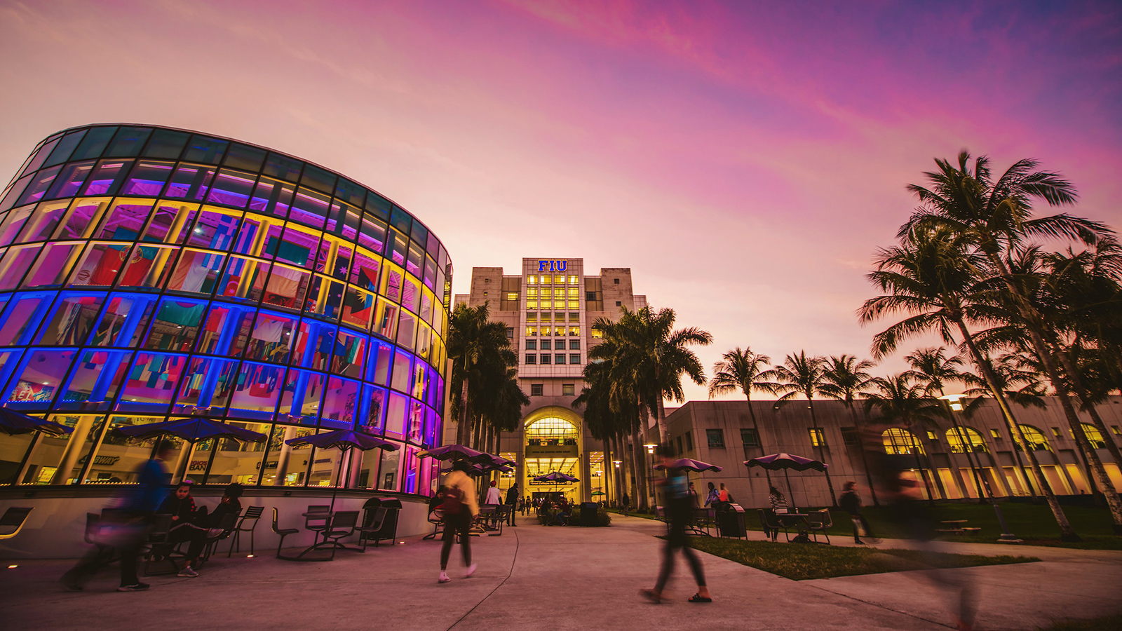 florida international university phd programs